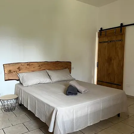 Az. Agricola Lo Schiucciolo San Donato (Tuscany)