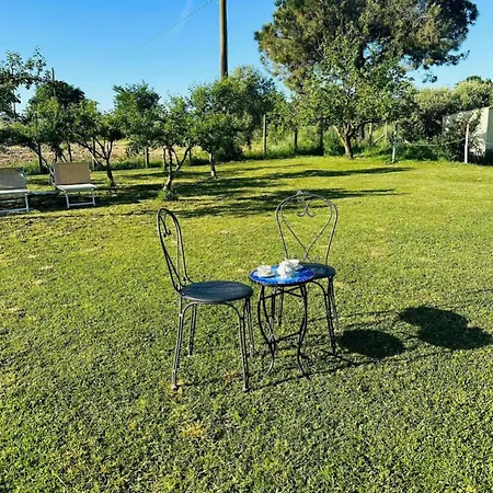 Az. Agricola Lo Schiucciolo Apartment *