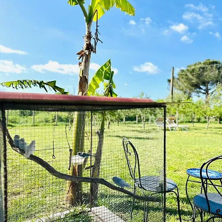 Az. Agricola Lo Schiucciolo San Donato (Tuscany)